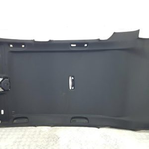 Потолок BMW X3 G01 3 поколение (2017-2021)