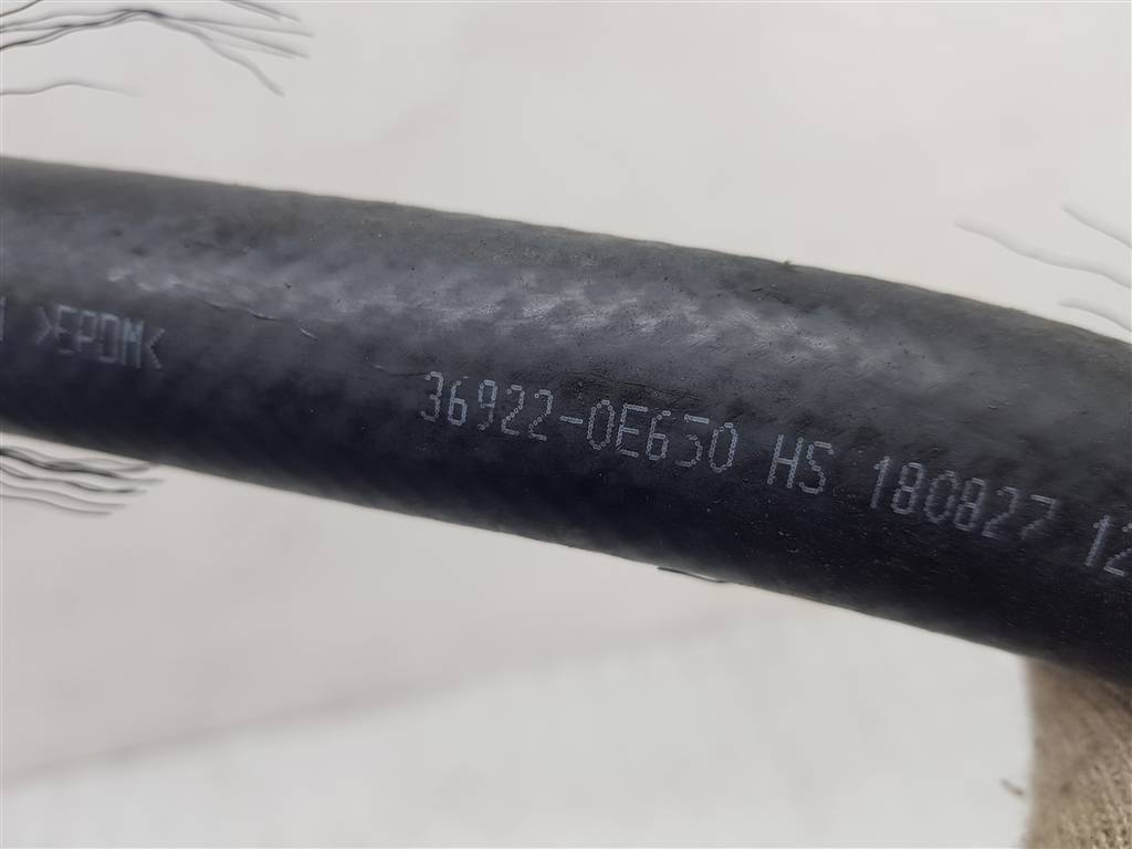 230247