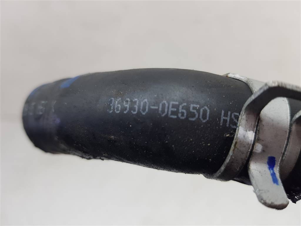 230250