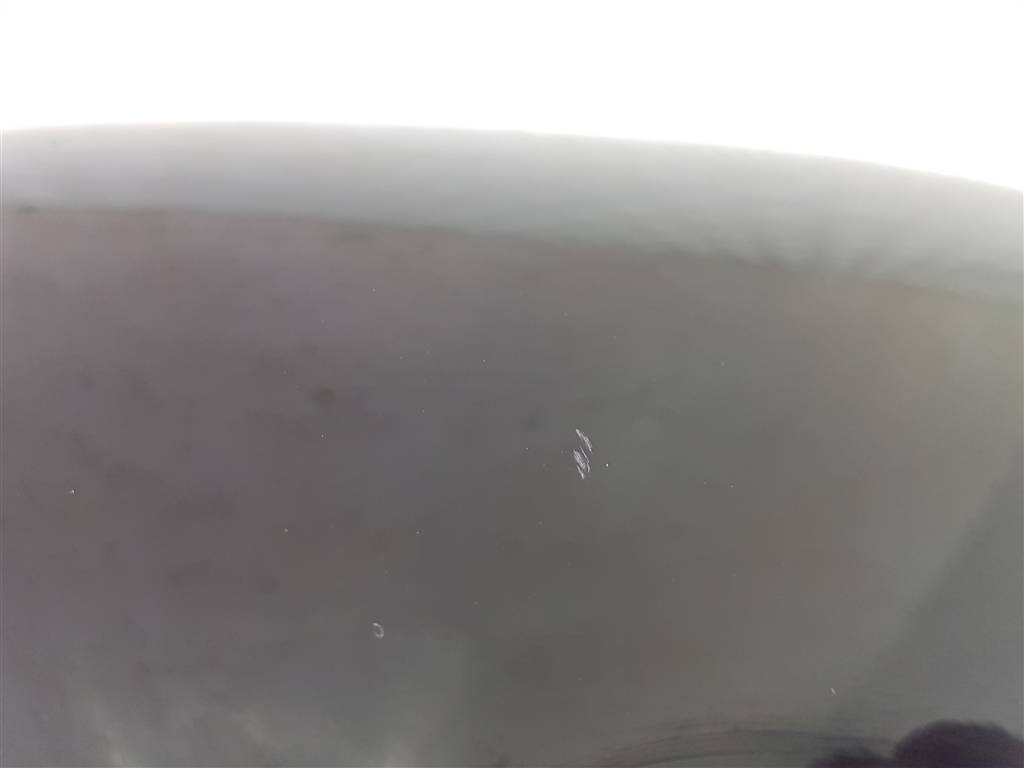 230761