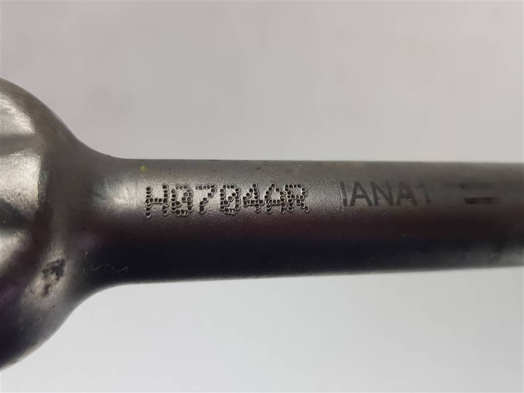 231544
