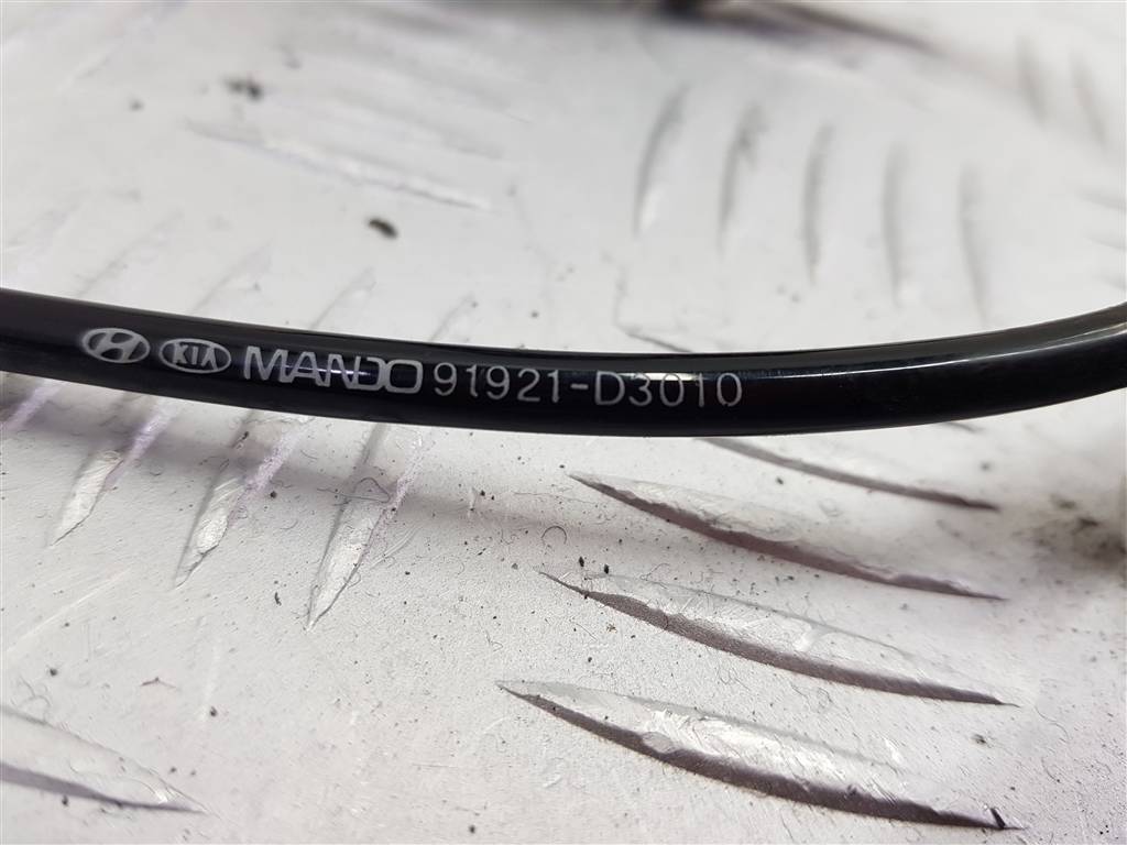 232767