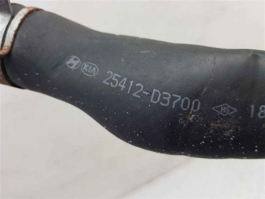 233033
