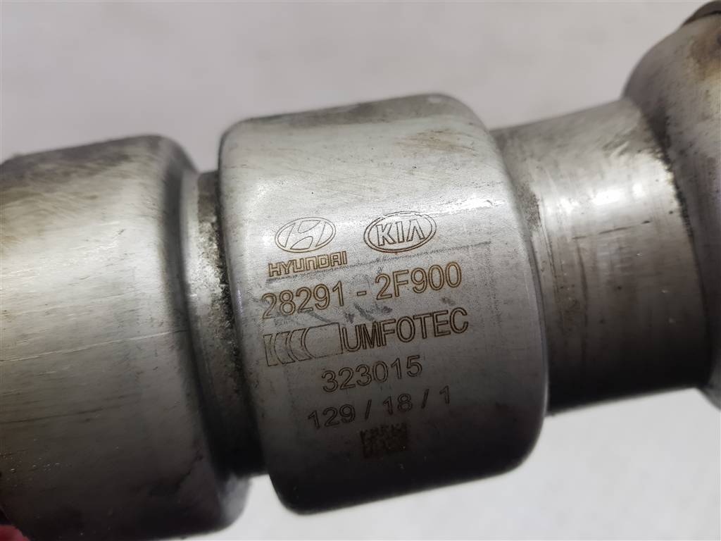 233299
