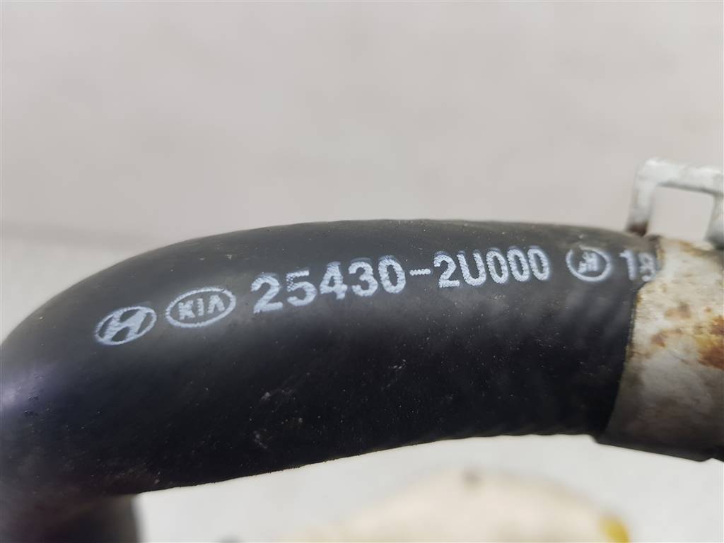 239046