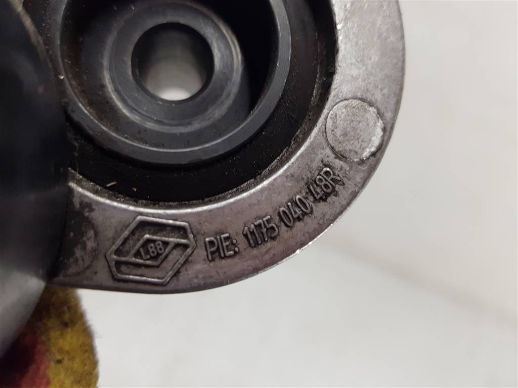 239081