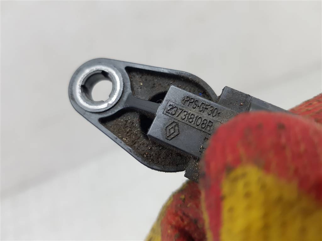 239119