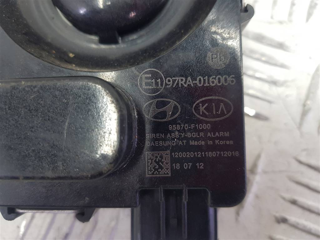 239335