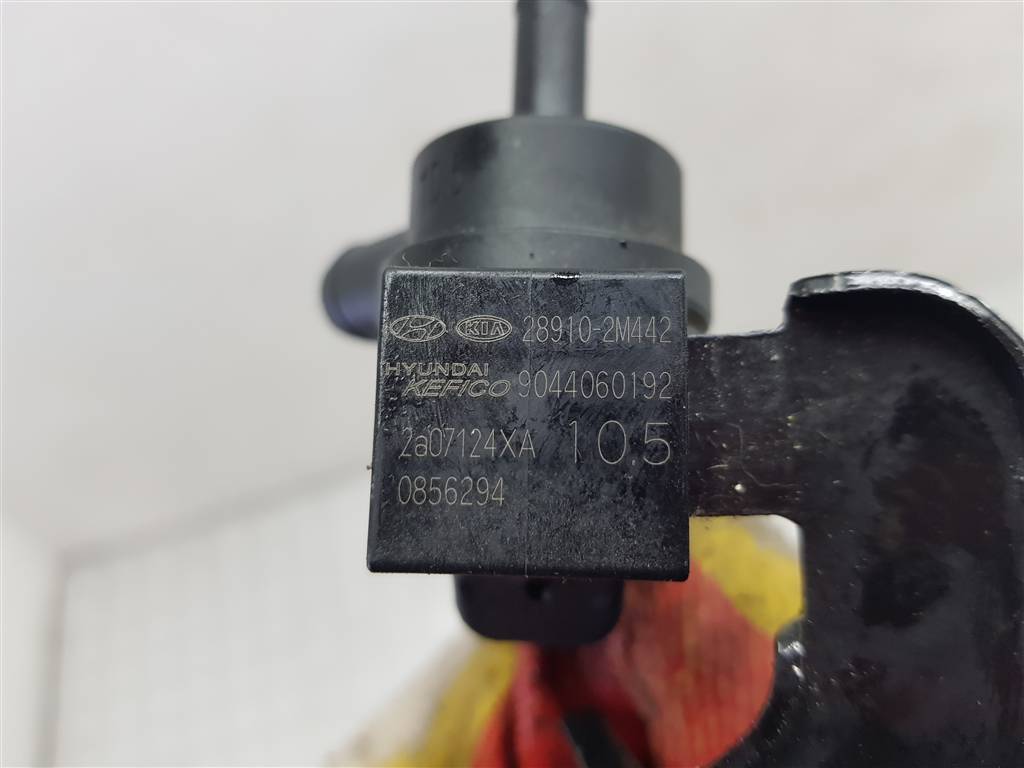 239818