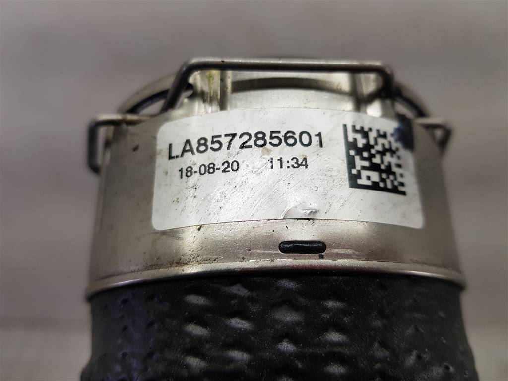 242309