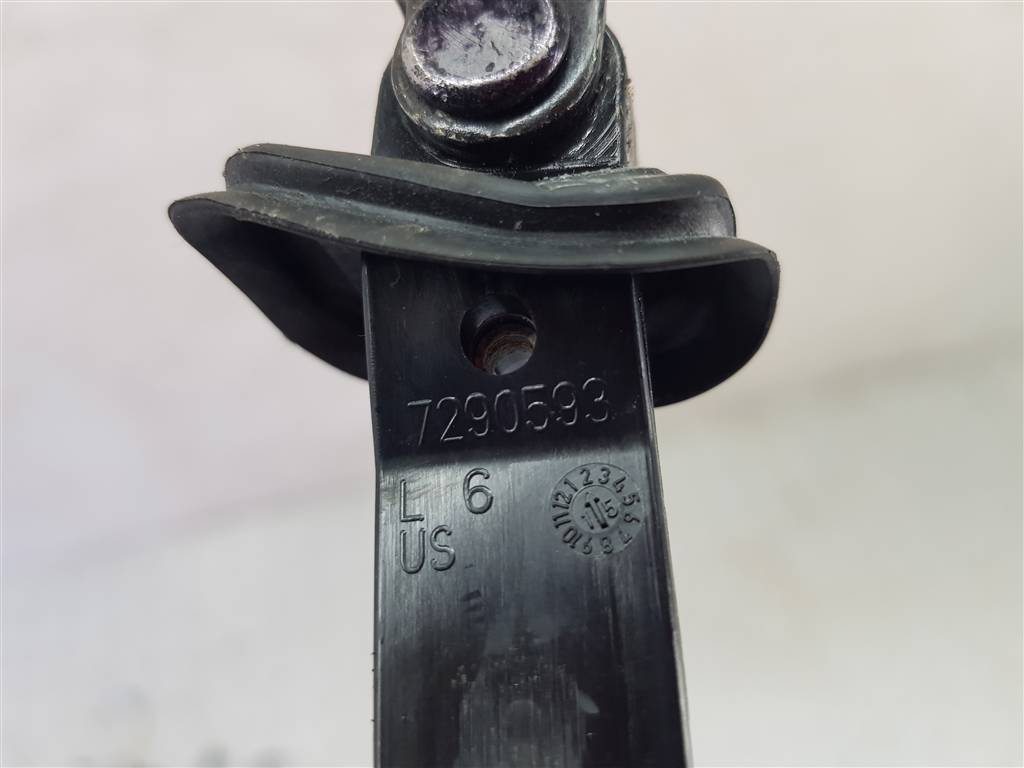 250557