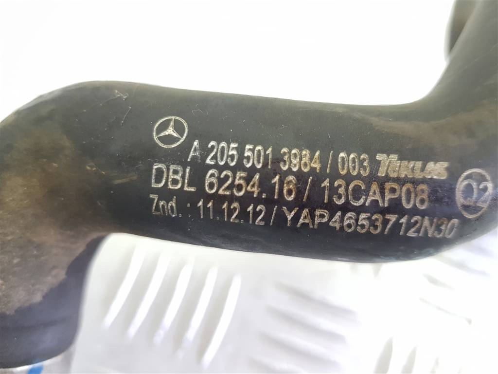 252846