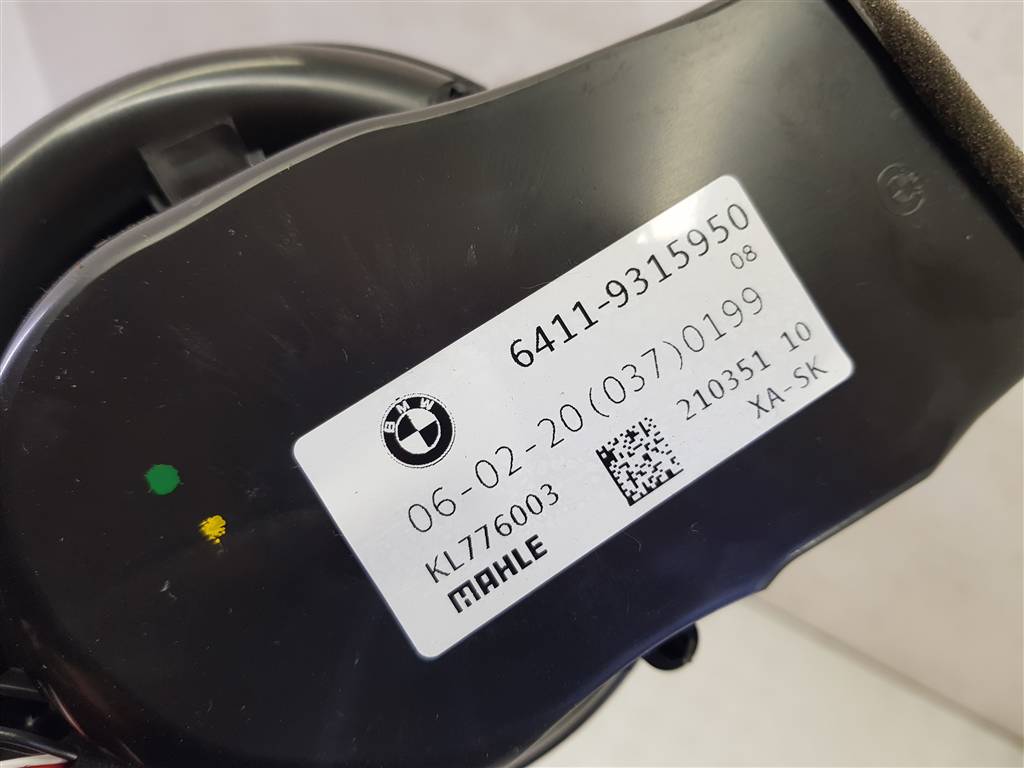 254482
