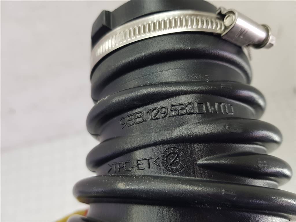 255204