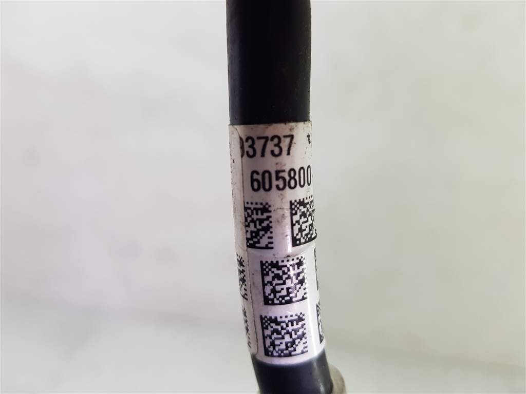 258831