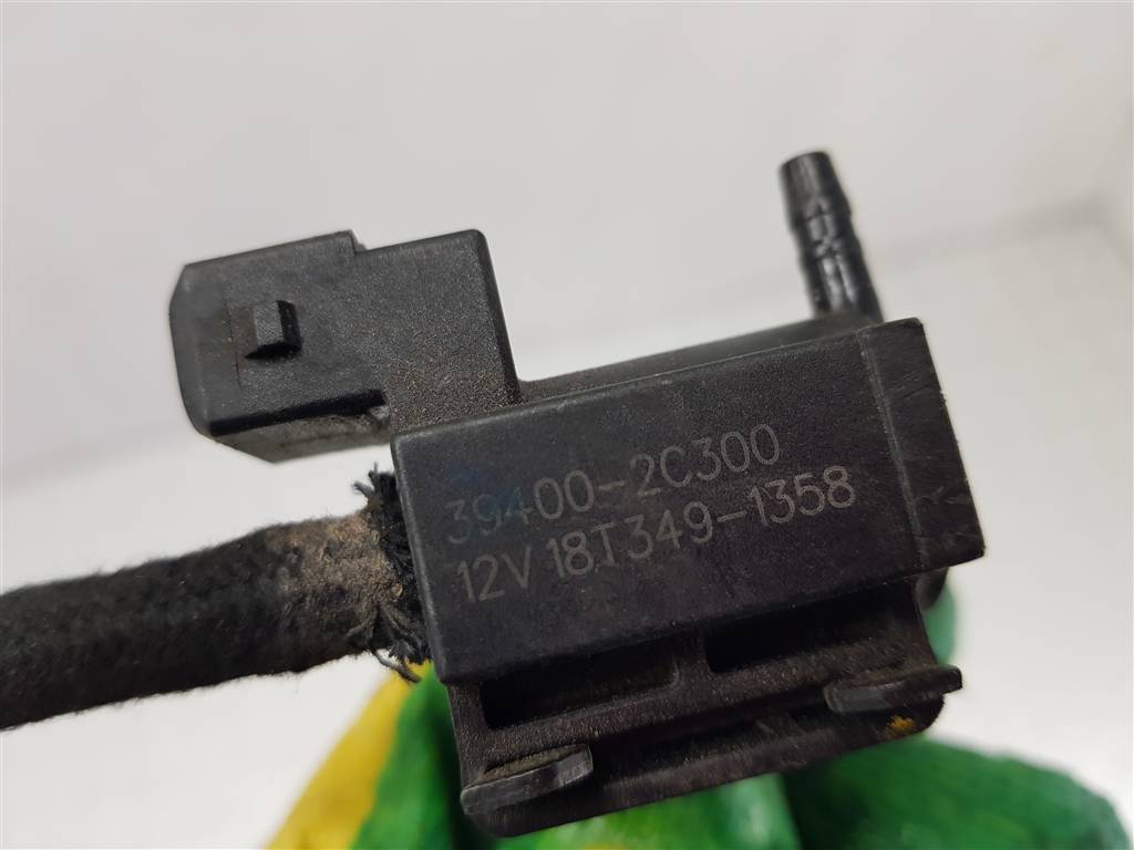 273768