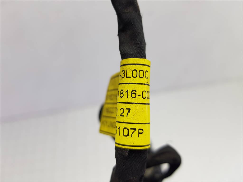 273780