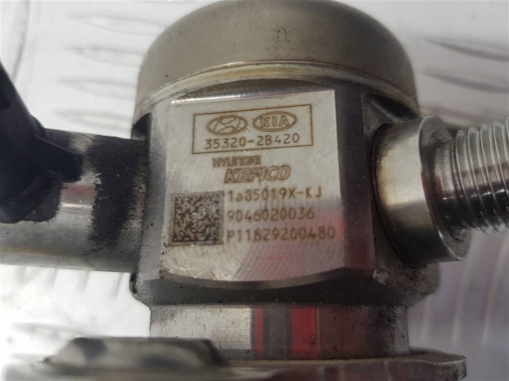 275798