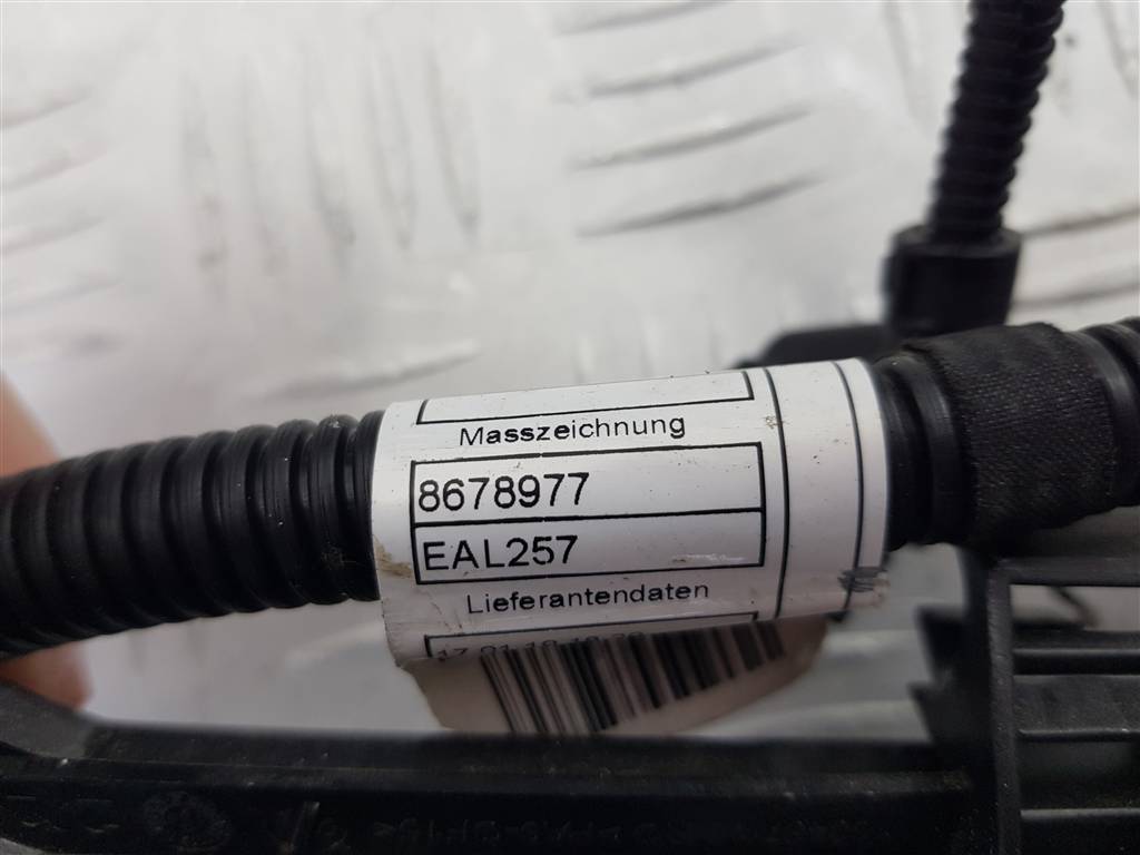 276428