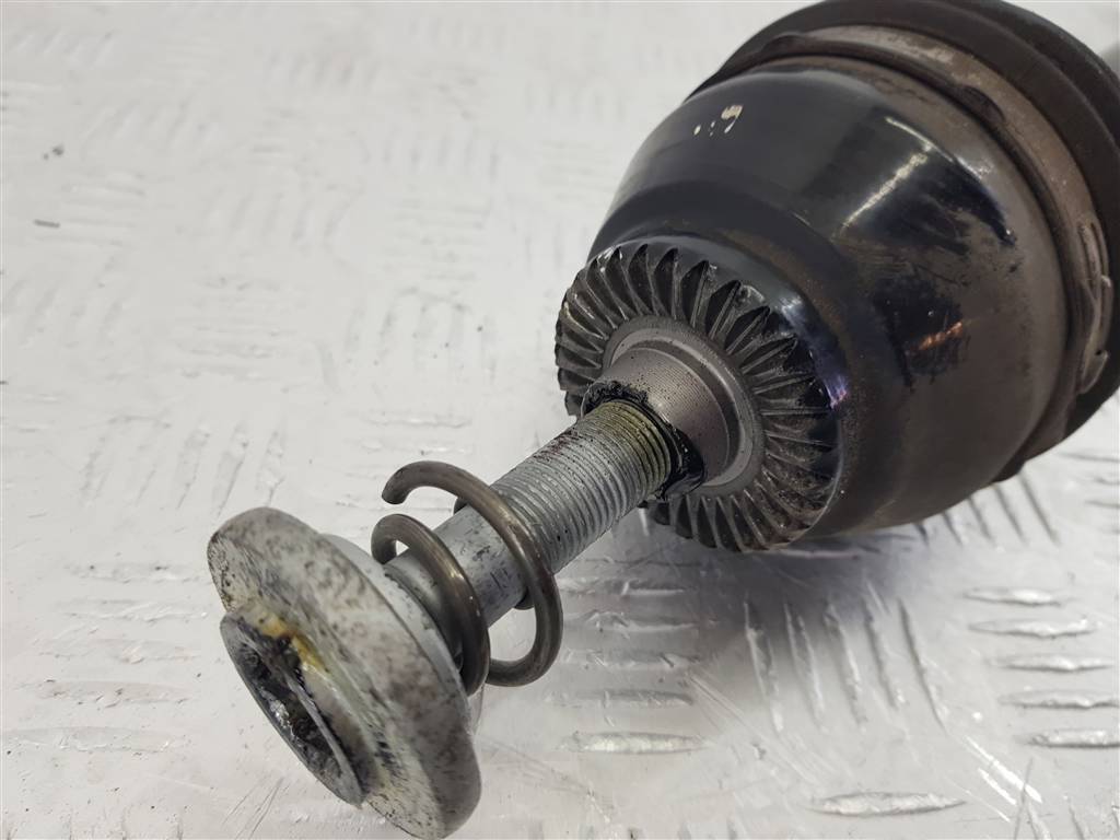 281956