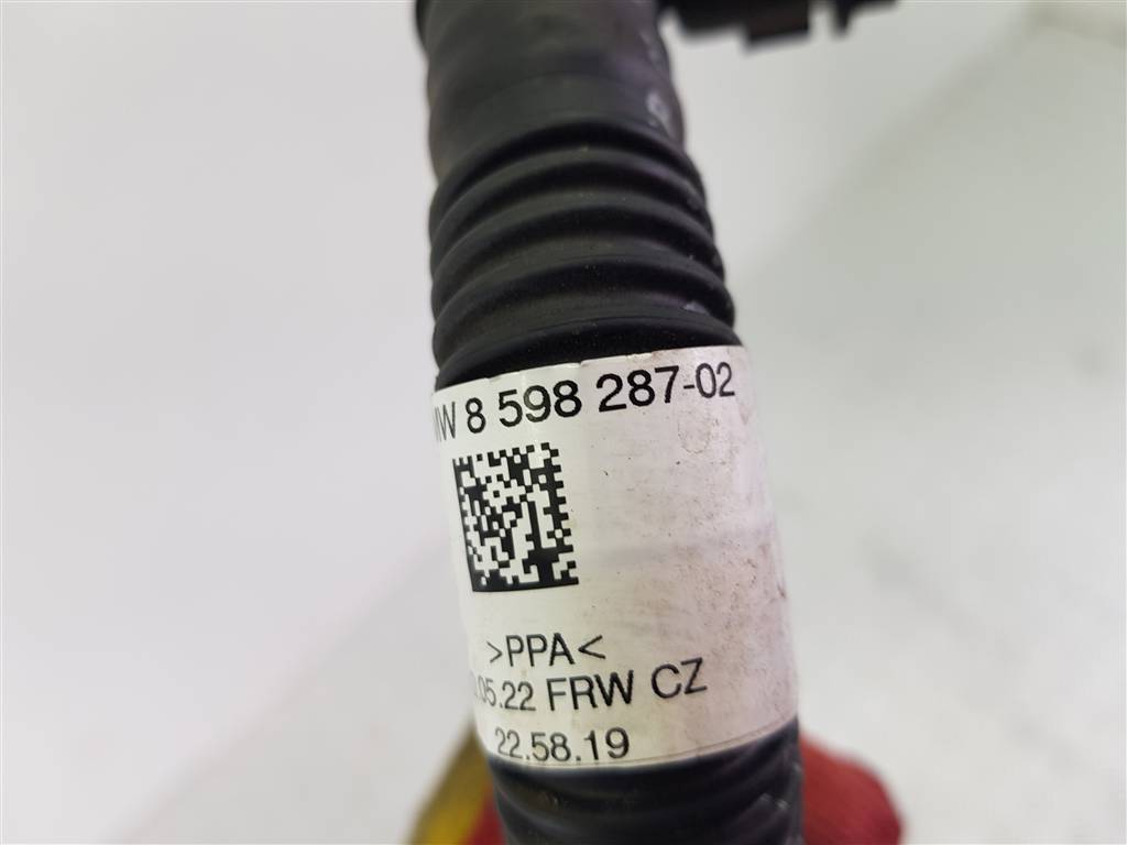 291216