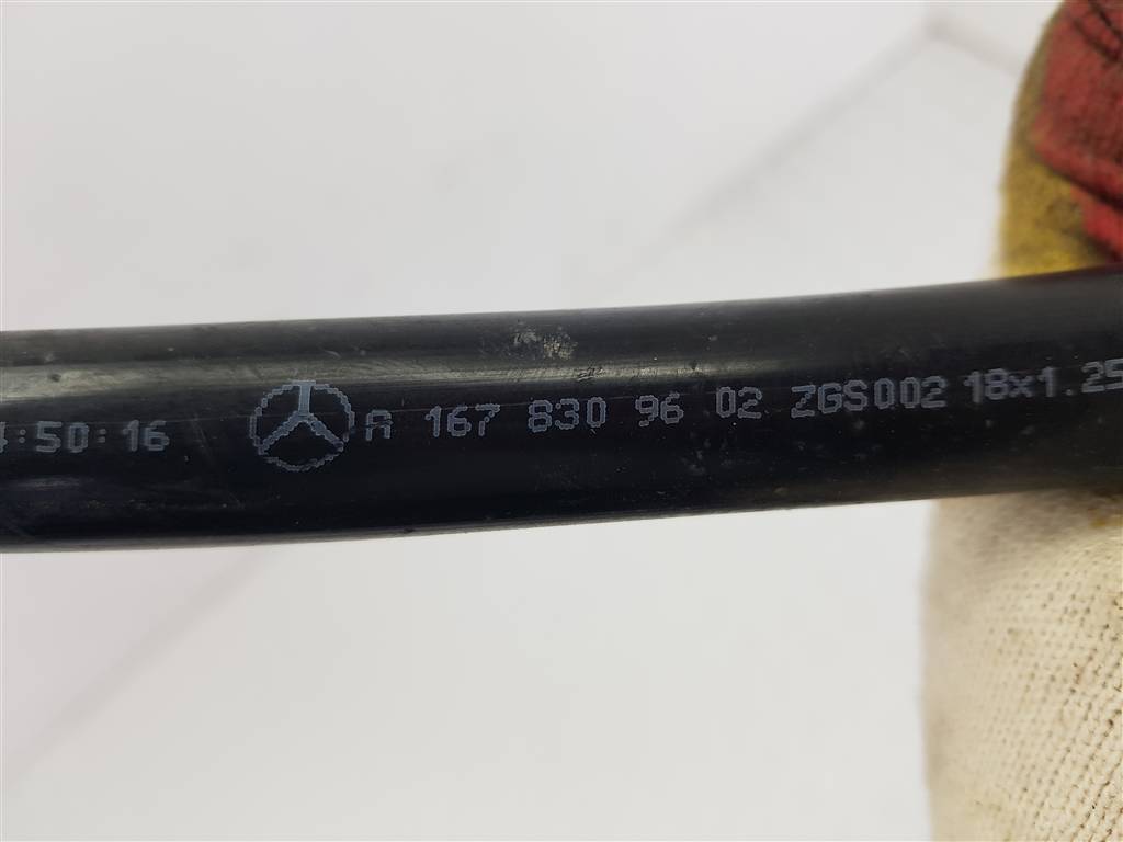 293369