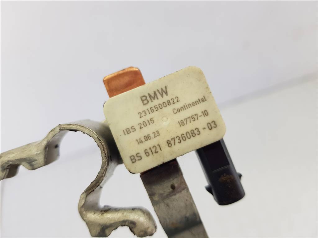 293818