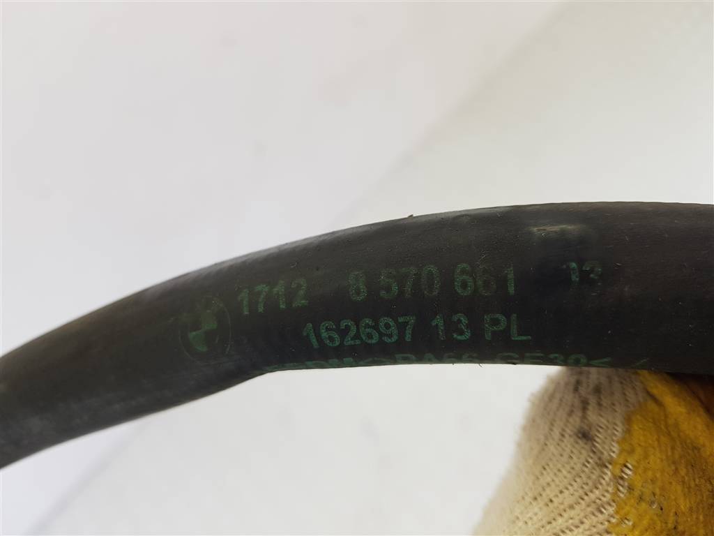 294533