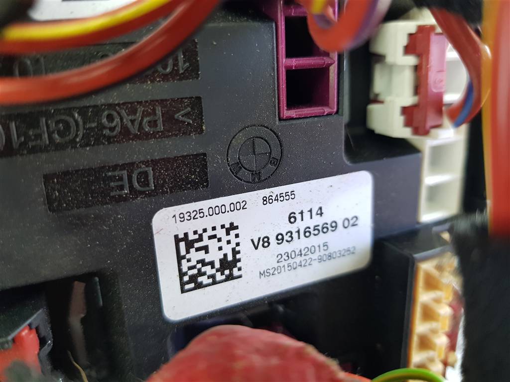 294559