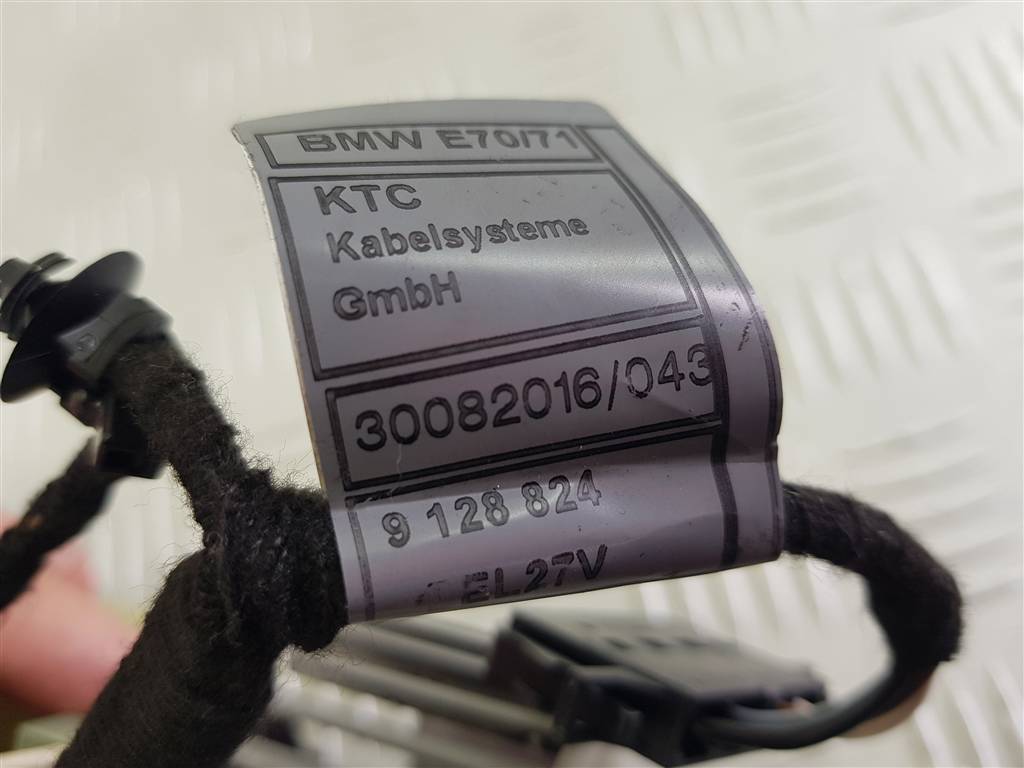 295204