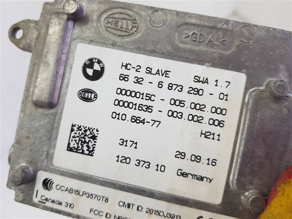295491