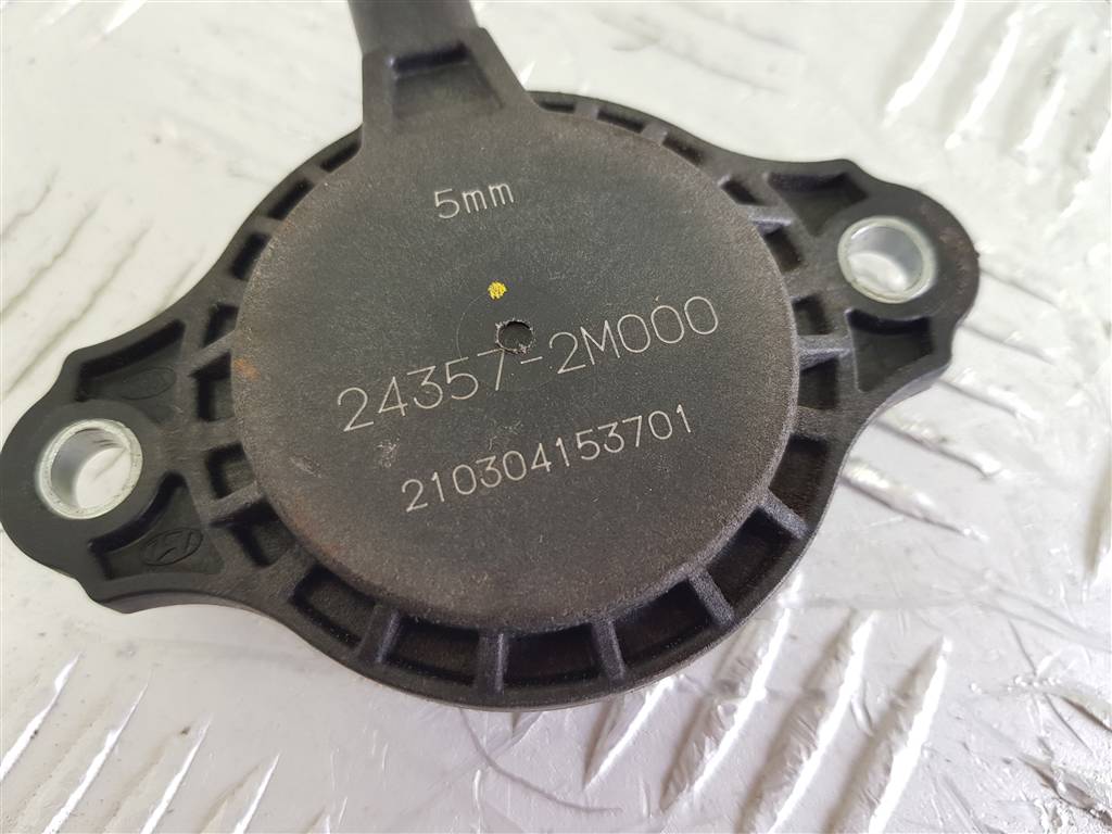 295981