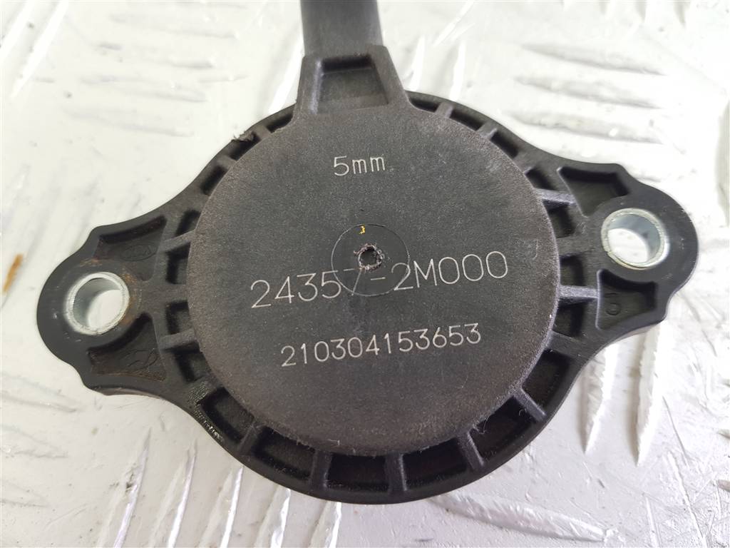 295984