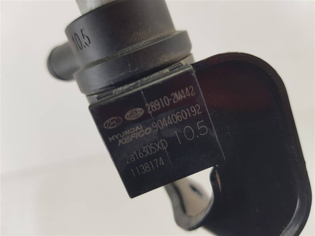 296023