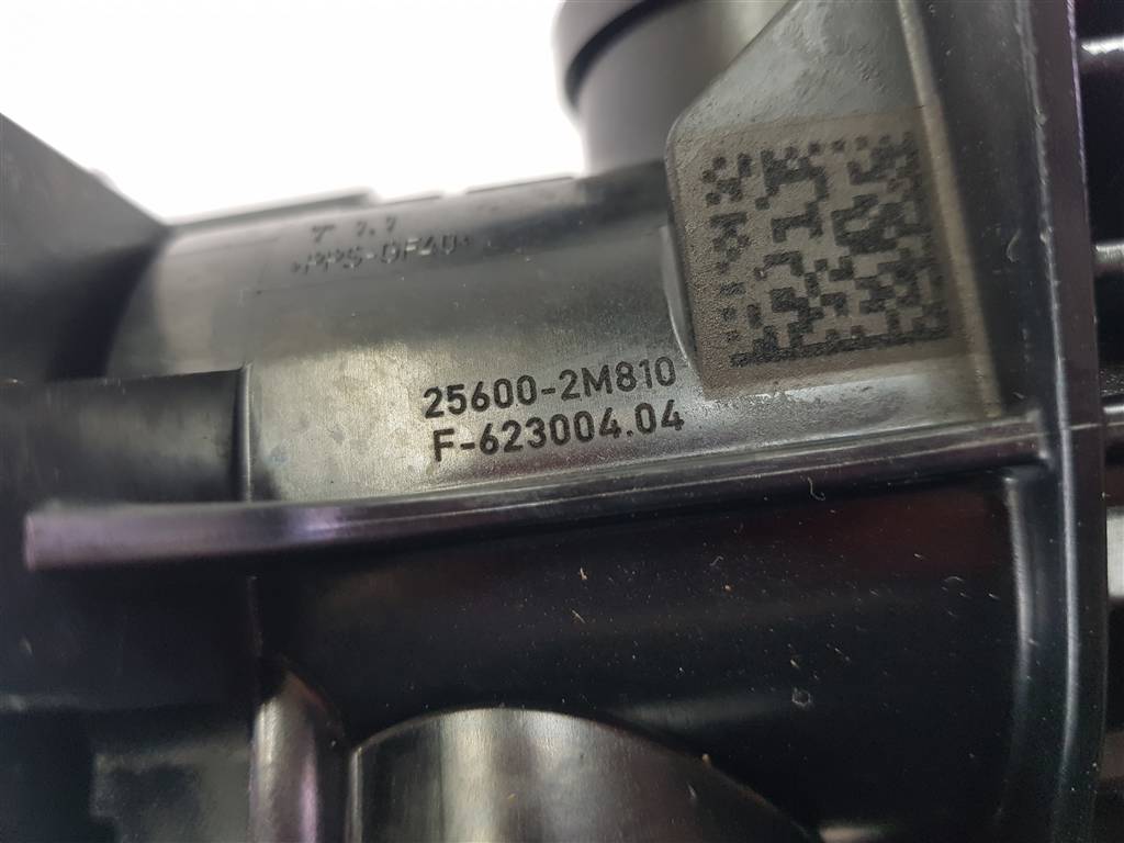 296034