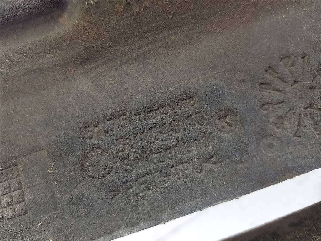 296119