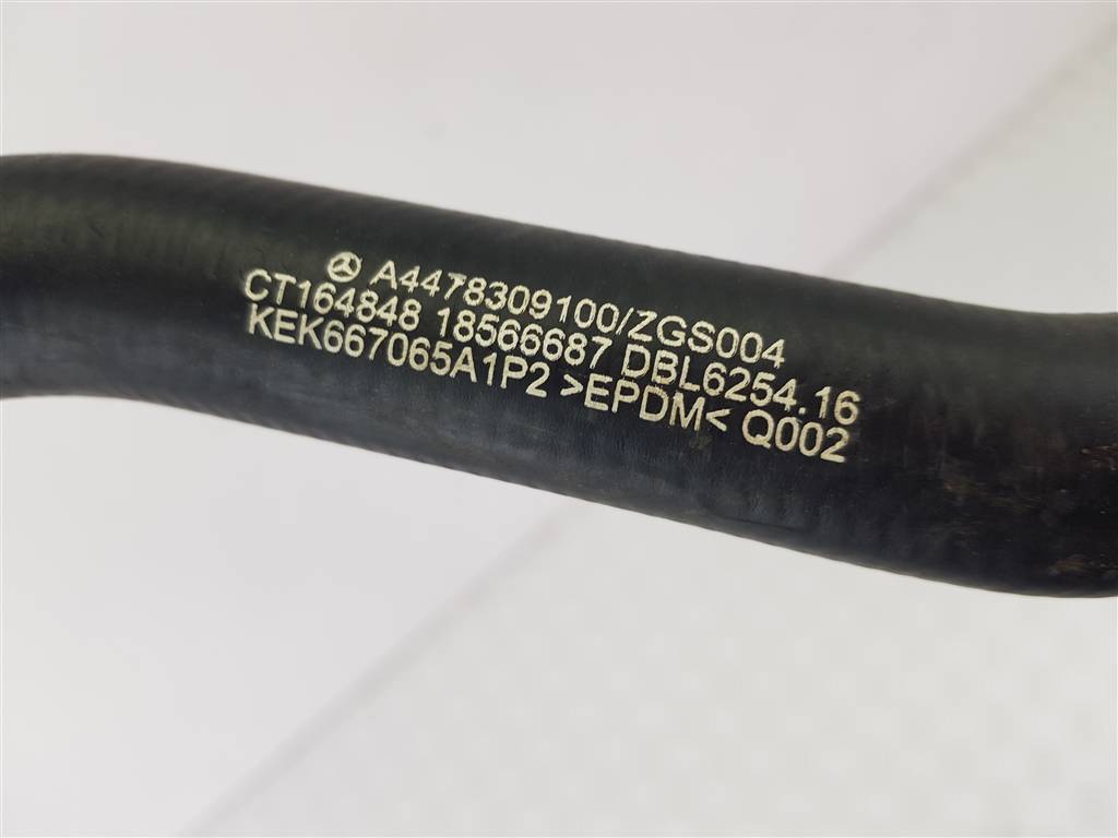 296329