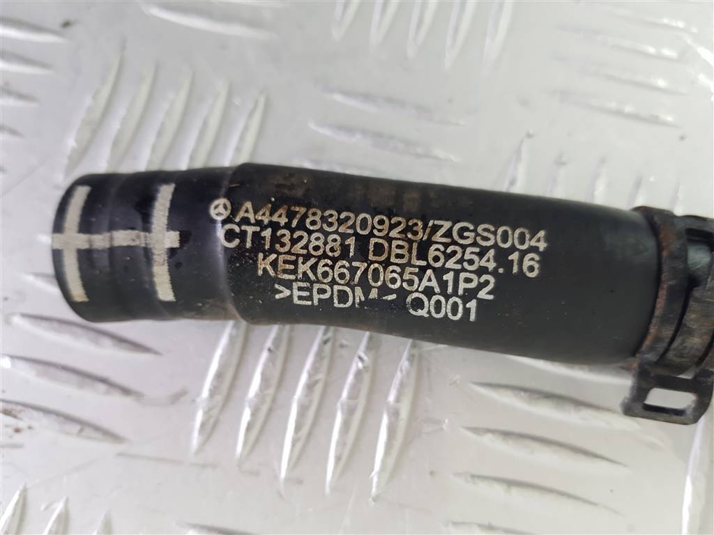296341
