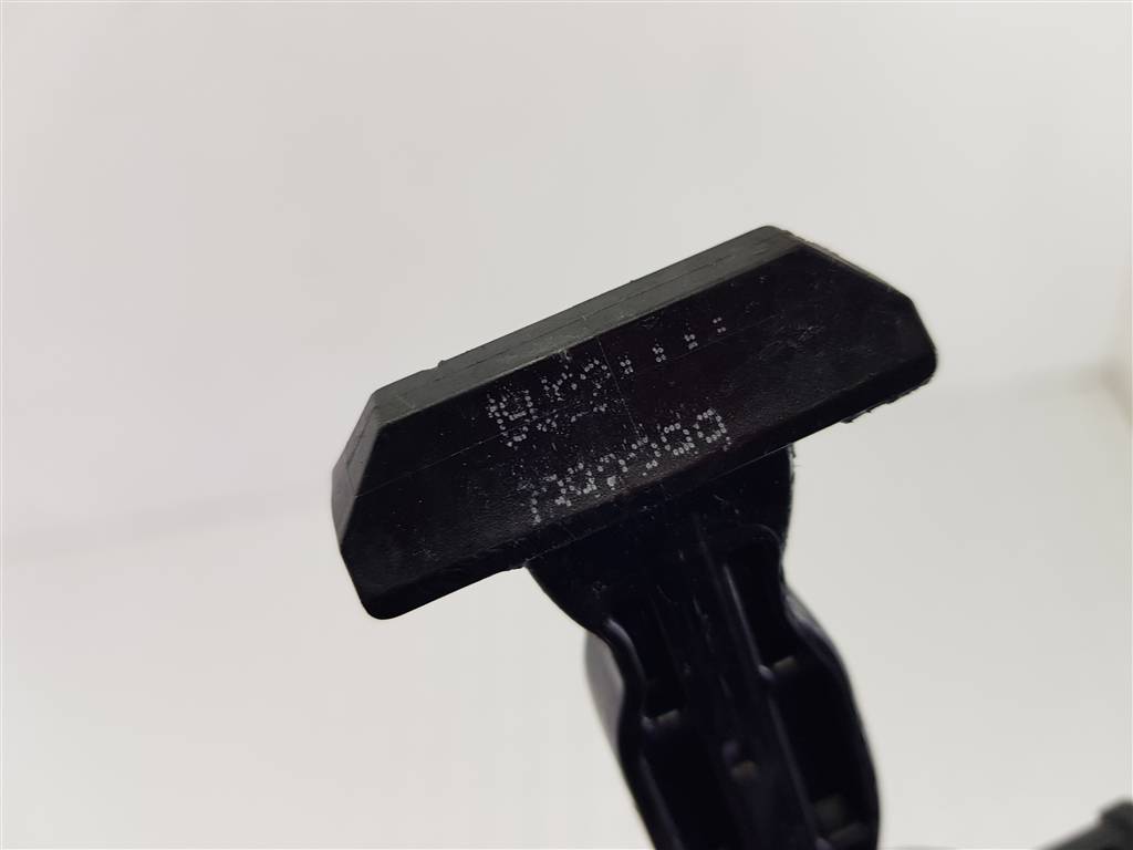 297481