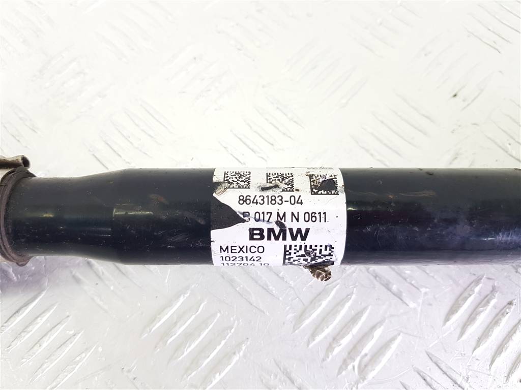 299038