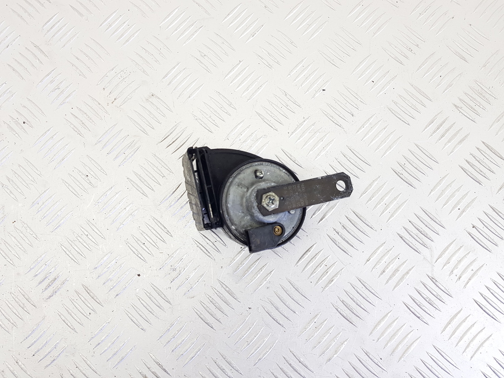 303319