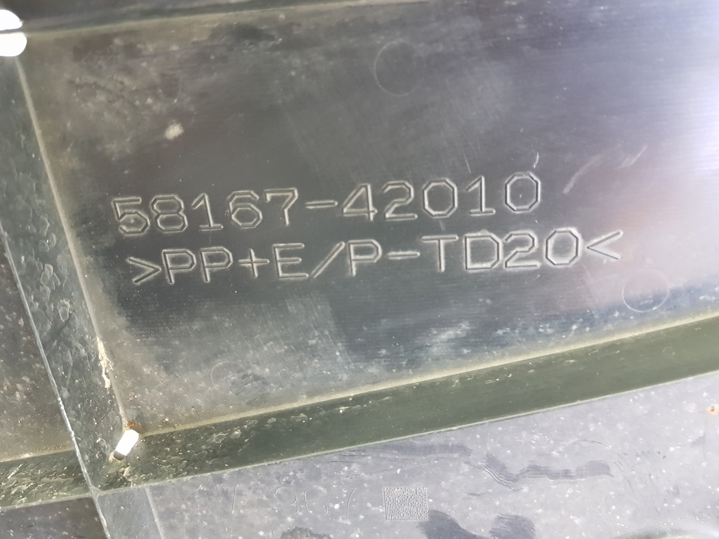 303981