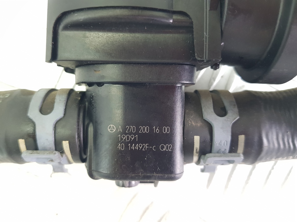 305517