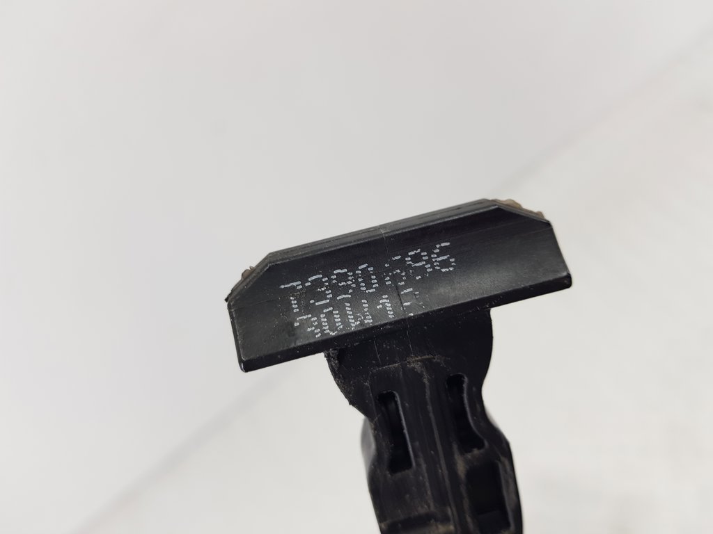 319031