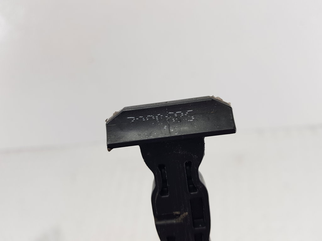 319033