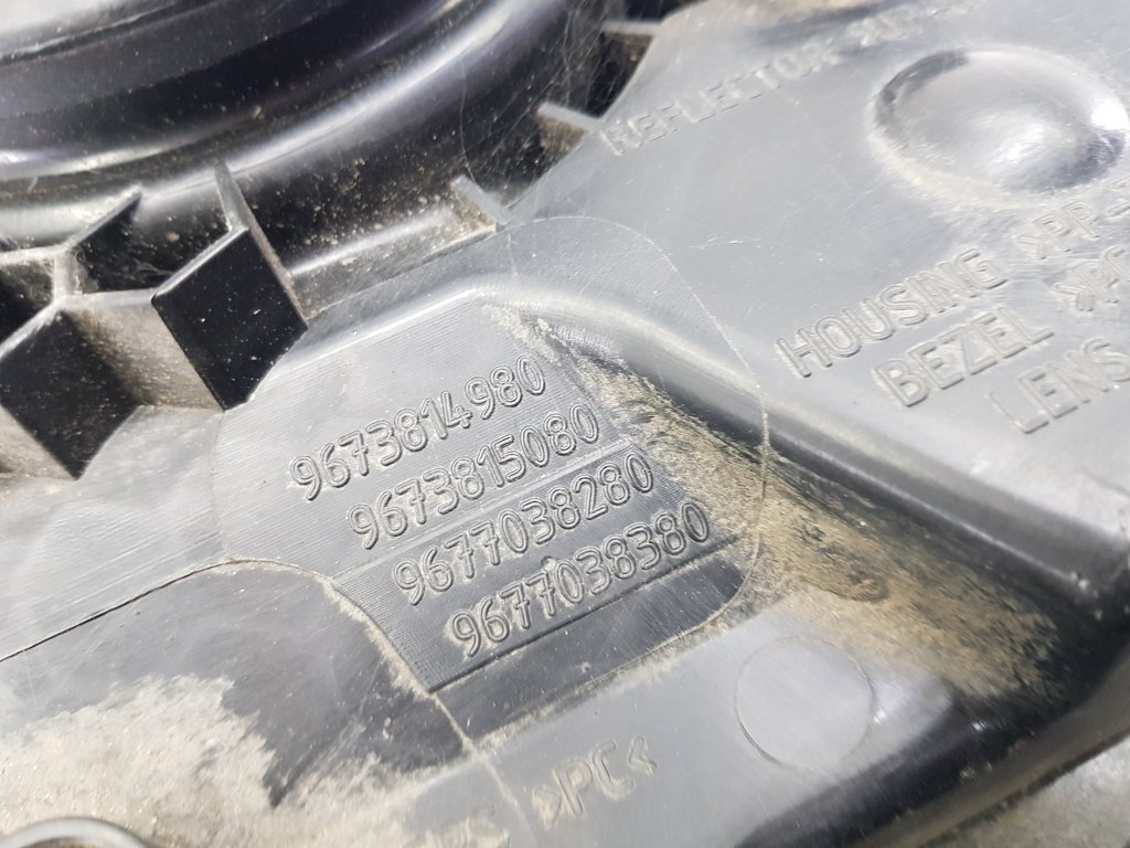 323241
