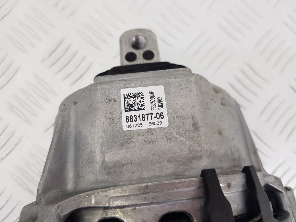 323825