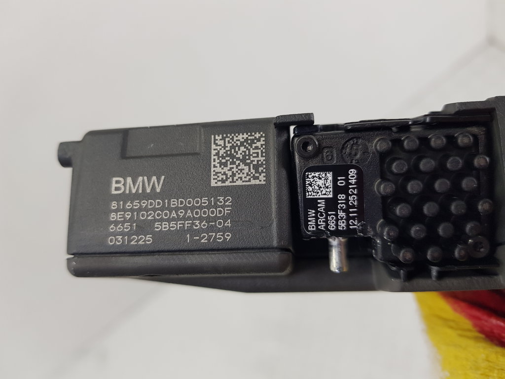 323881